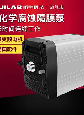析牛抗化学腐蚀隔膜泵