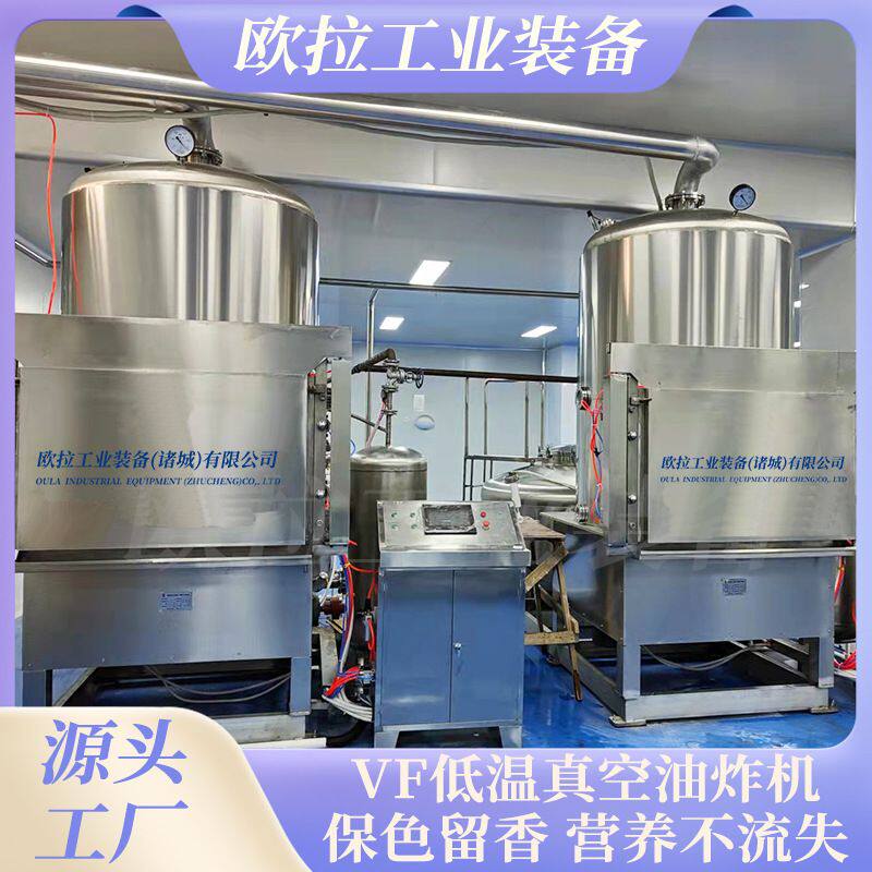 大型鸭胗低温油炸机 真空油炸机厂家 鸡脖真空油炸机设备