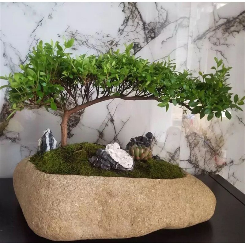 天然石头鱼缸铜钱草专用盆野生菖蒲鹅卵石花盆原生态简约花器大号