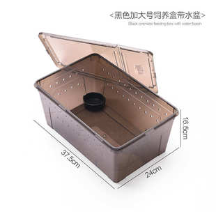 特大饲养盒乌龟爬宠箱蚕宝宝蜘蛛角蛙守宫盒蜥蜴宠物蛇昆虫乌龟缸