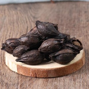 焦栀子 真选本草 炒栀子 炙栀子 黄栀 中药K材店铺炒栀子50~500g