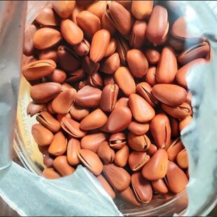 开口松子405g罐装 大颗粒x开口松子特产干果坚果零食办公室零食