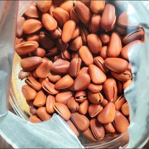 开口松子405g罐装大颗粒x开口松子特产干果坚果零食办公室零食