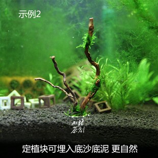 手工鱼缸森林造景莫斯moss摩丝灌木丛真迷你水草真沉木小树林形