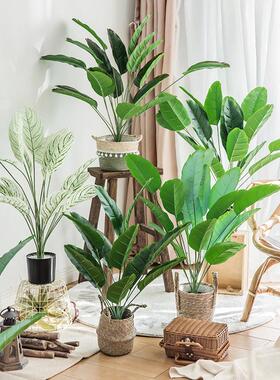 北欧客厅仿真绿色植物绿植装饰假花天堂鸟ins小盆栽摆件创意家严