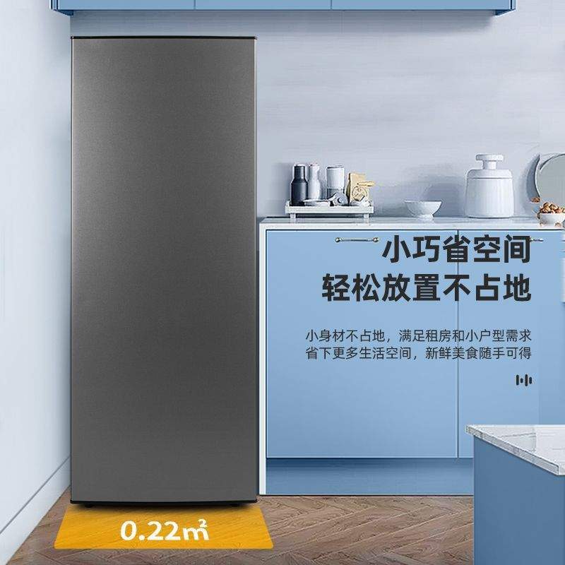 冰熊立式冷柜家用小型冷冻速冻母乳储存商用抽屉式节能省电冰箱