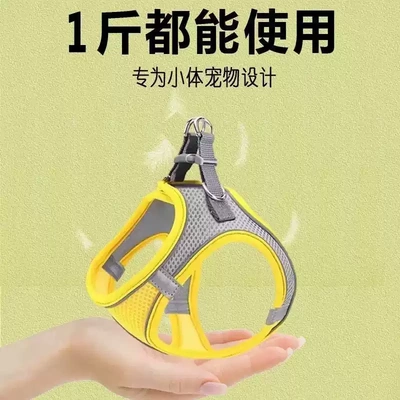 幼猫牵引绳超小号遛猫外出专用两