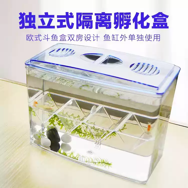 小鱼缸隔离盒观赏鱼繁殖盒孔雀鱼