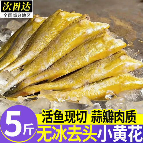海捕去头免处理速冻小黄花鱼