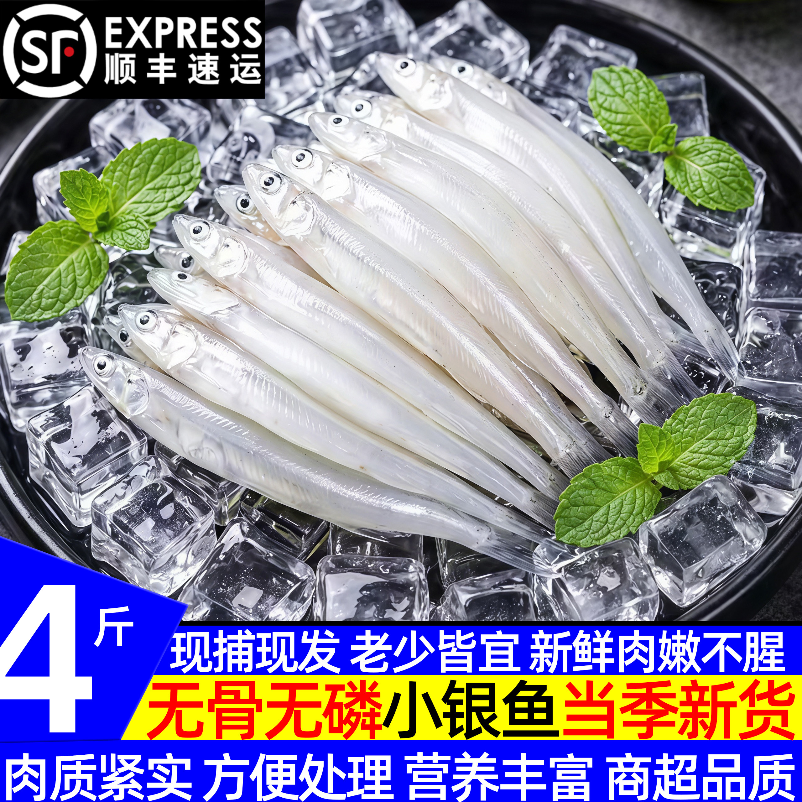 淡水小银鱼新鲜冷冻面条鱼白饭鱼孕妇宝宝辅食水产银鱼顺丰包邮