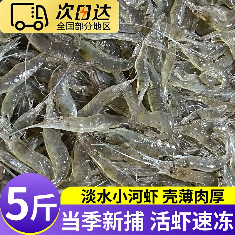 5斤野生淡水小河虾急冻鲜虾顺丰