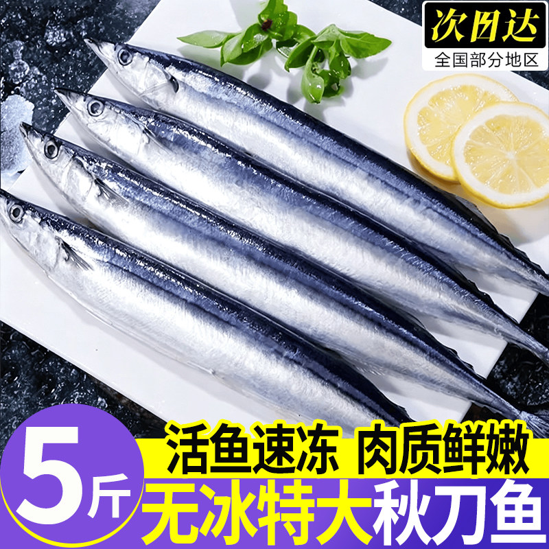 深海捕捞冷冻免处理特大秋刀鱼