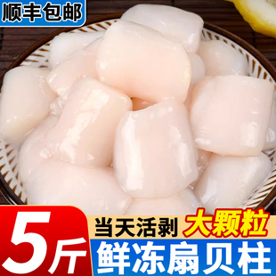 扇贝柱新鲜冷冻元贝柱特大号瑶柱扇贝野生扇贝丁海鲜水产批发商用