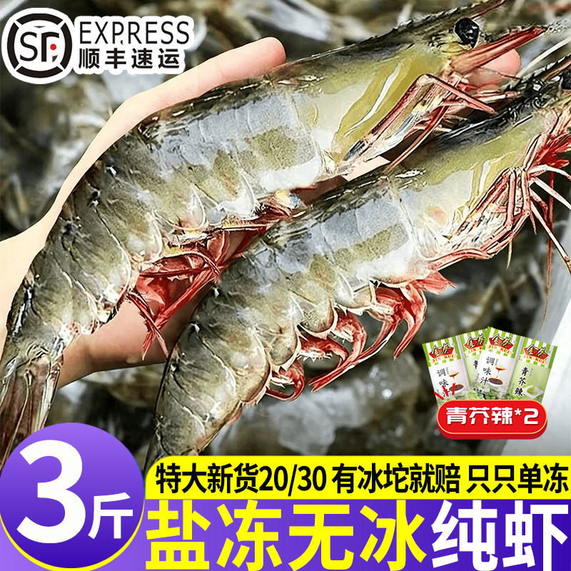青岛特大盐冻带料包大虾
