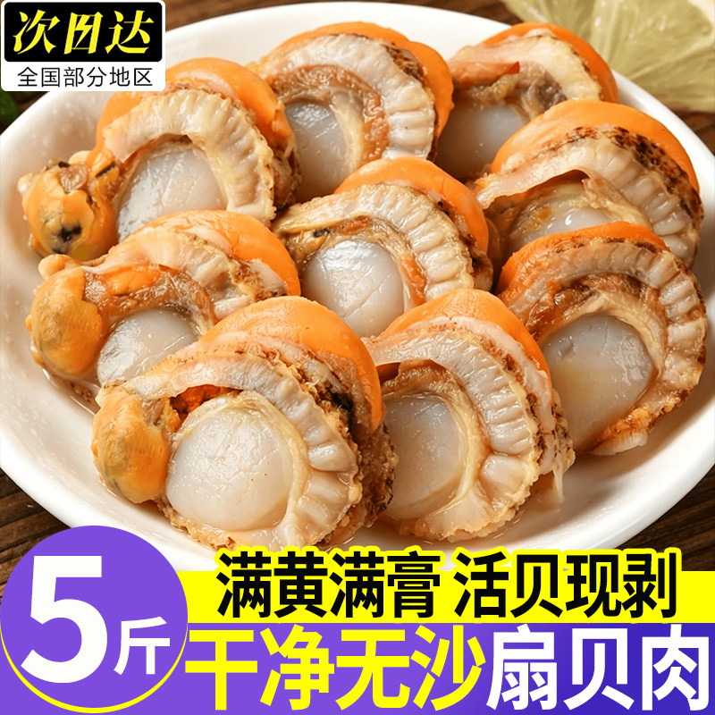 威海特级冷冻带黄特大扇贝肉