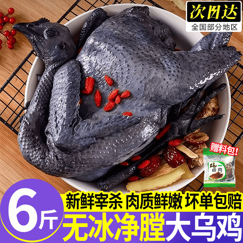 新鲜现杀散养乌骨鸡整只炖汤