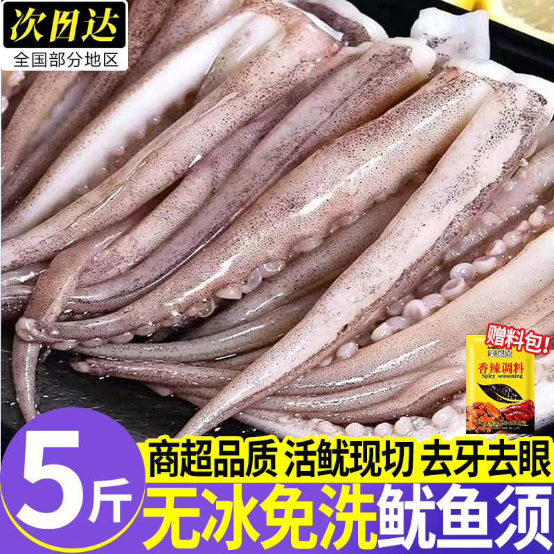 威海新鲜冷冻鱿鱼须商用批发