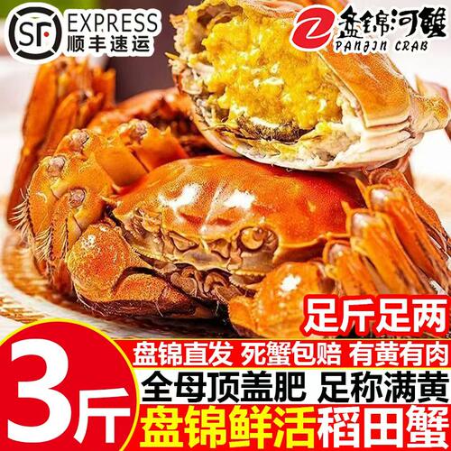 盘锦鲜活大闸蟹纯母蟹礼盒