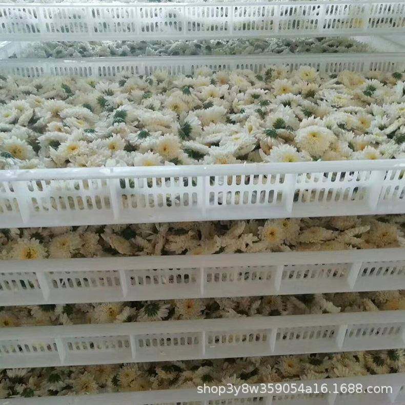 厂家玫瑰花烘干箱煤电两用的系列菊花烘干设备甘草烘干机,工业油品/胶粘/化学/实验室用品,其他实验室设备,淘宝优惠券,粉丝福利购,淘宝优惠卷