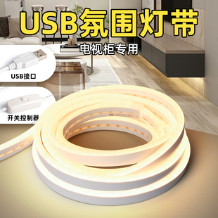 客厅自粘背胶免布线氛围T感应悬空柜下灯条 悬浮电视柜灯带充电款