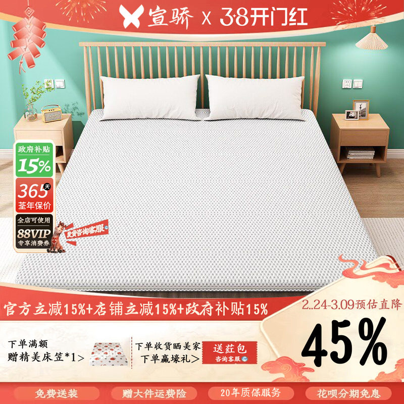 天然椰棕床垫家用卧室护腰护脊棕榈出租房用儿童榻榻米可折叠棕垫