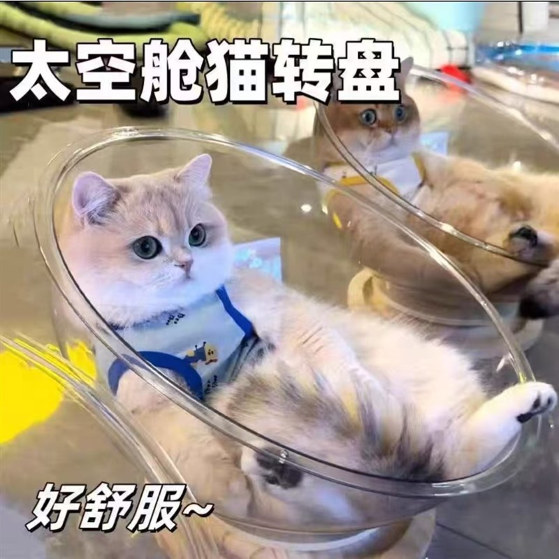 太空舱猫窝四季通用高透冰窝半封闭压克力实木转盘猫玩具猫床一体