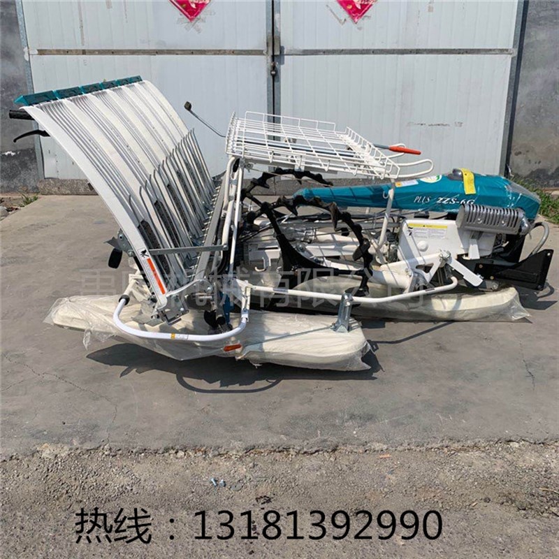 水稻步进式手扶插秧机四六行水田农用全自动汽油电启动栽苗机现货