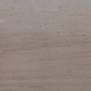 天然大理石法国木纹木化石木纹石石材原板台面茶几墙砖地砖