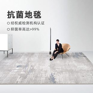 房间客厅地毯感卧室床边其极简耳进口毯高级轻奢意 垫土沙发茶几式