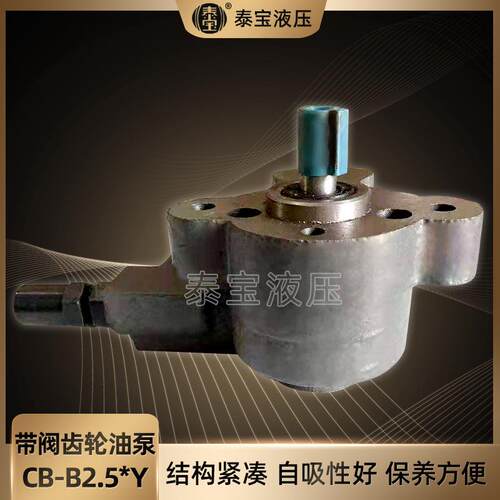 带阀齿轮油泵CB-B2.5Y微型卸柴油液压机油220V380V高温油泵