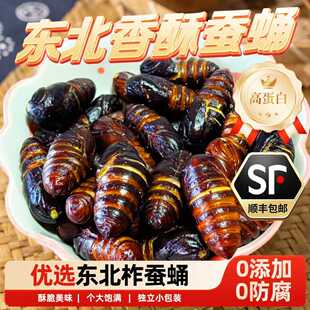 桥边德溢东北特产香酥蚕蛹开袋即食香辣味熟食零食品柞蝉蛹顺丰包