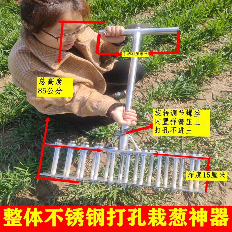 双排栽葱种植神器葱叉打眼器农用种葱自动压土打孔器种葱神器