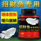 招财鱼饲料发财鱼战船鱼鱼粮招财专用鱼食观赏鱼地图鱼增艳鱼饲料
