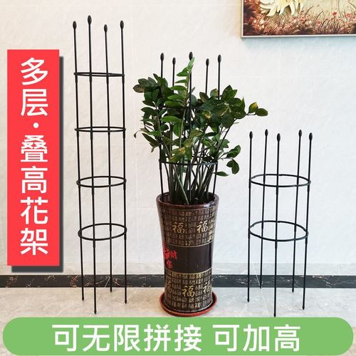 月季蔷薇花架爬藤架包塑铁管花支架植物攀爬藤架子阳台铁线莲盆栽