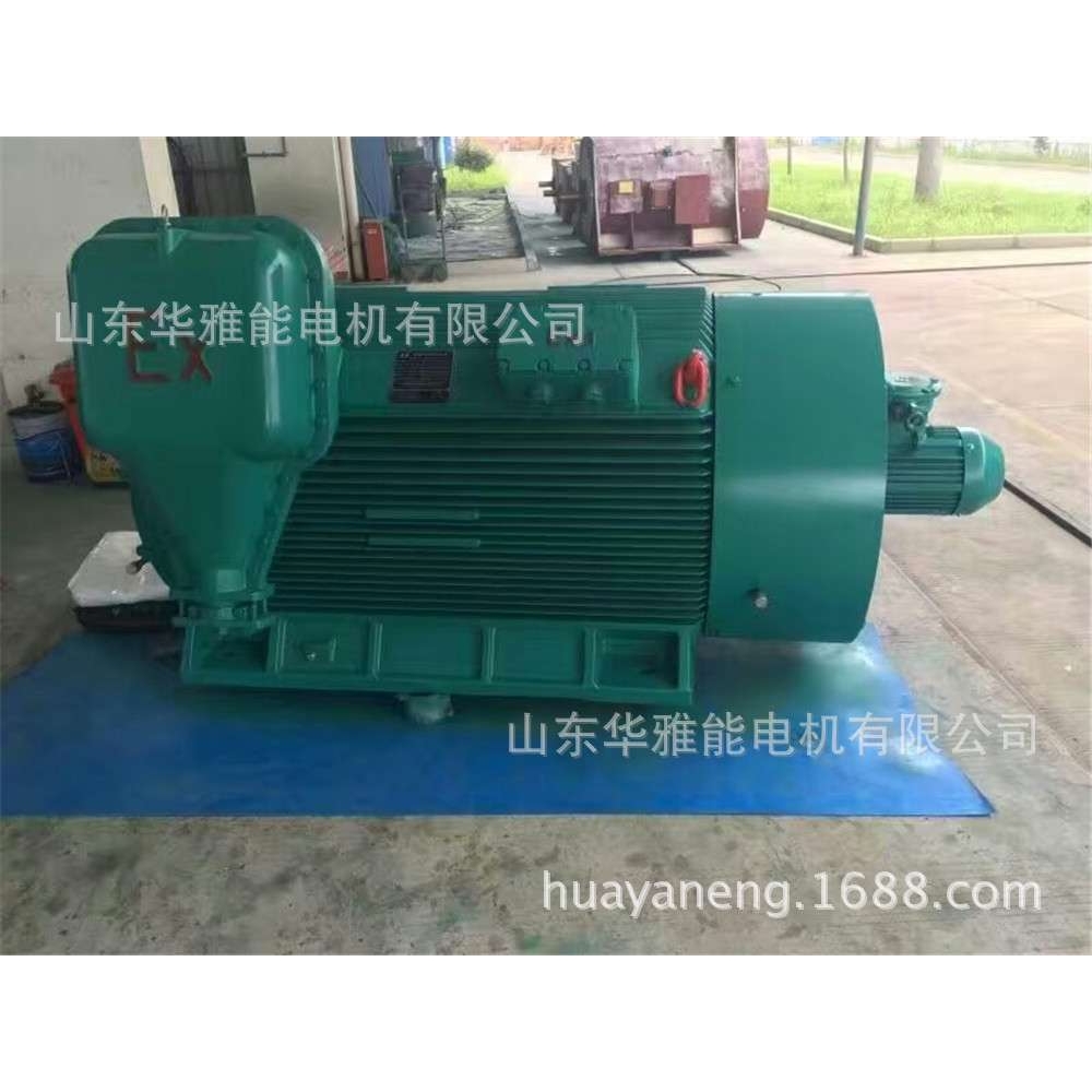 YTSP200L-8-15电机EXDII标识YSP电机逆时针转向做标记带径向通风