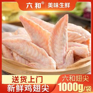 六和鸡翅尖新鲜冷冻鸡翅膀生鲜鸡翅中卤味熟食烧烤串商用