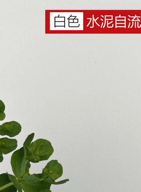 白色自流平水泥乐邦X-801面层自流平砂浆民宿展厅地面