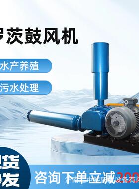罗茨风机直销污水处理水产养殖专用直连罗茨鼓风机节能曝气
