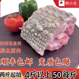 1-5斤新鲜现杀鳄鱼肉 鳄鱼腩肉 鳄鱼身子带皮肉 人工养殖鳄鱼