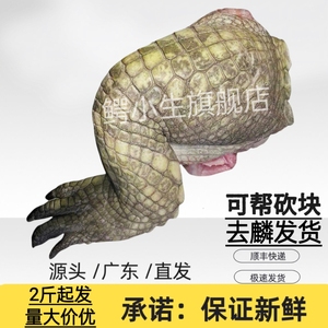 鳄鱼肉鲜 整根整条鳄鱼腿鳄鱼活体现杀现宰人工养殖鳄鱼腿肉