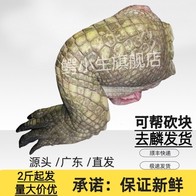 鳄鱼肉鲜 整根整条鳄鱼腿鳄鱼活体现杀现宰人工养殖鳄鱼腿肉