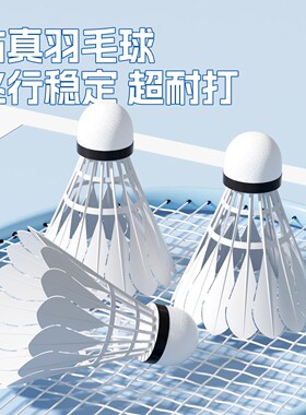 羽毛球小学生专用耐用耐打尼龙仿真塑料室外防风训练专用儿童练习