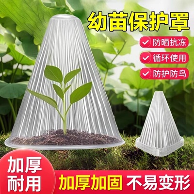 加厚育苗保护罩防霜冻防虫大号