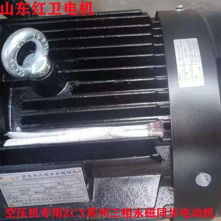 山东淄博厂家直供 ZCY1-180L-37KW-2 三相永磁同步电动机质量保障