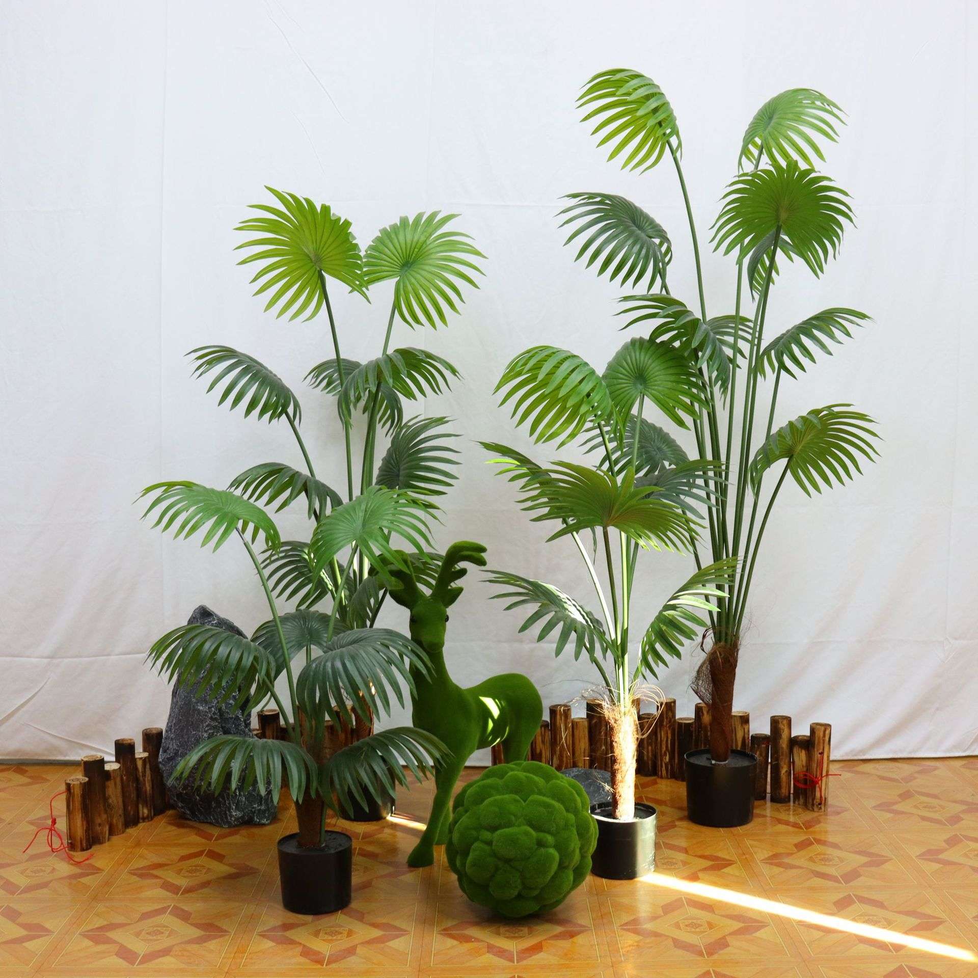 绿植棕扇葵室内家居摆件盆栽加州蒲葵落地植物盆景小扇葵摄影道具