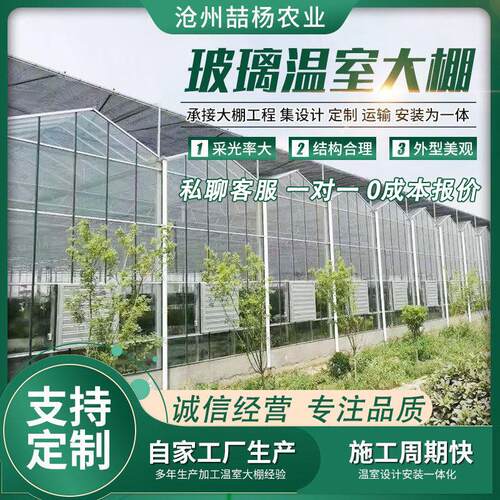 玻璃大棚 智能连栋玻璃温室 生态餐厅 科研温室 温室大棚骨架