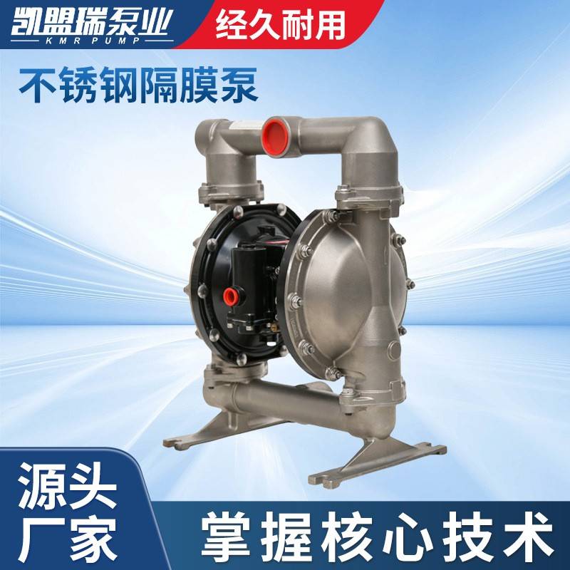 不锈钢隔膜泵PD15A-BSS-STT机械自用泵抽水五金扬程泵