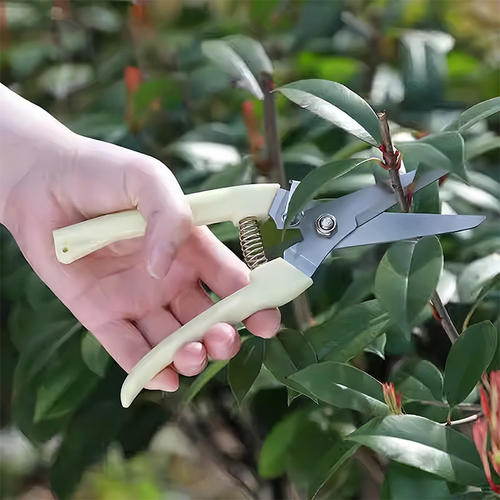 园艺剪修枝剪花剪园林剪刀花艺剪剪树枝果树剪刀枝剪修剪花卉剪子