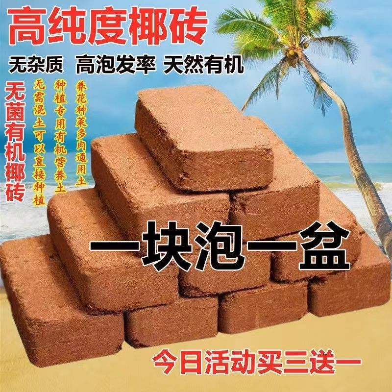 椰砖营养土养花种菜通用型大块椰土壤椰糠粗椰壳种植种花椰子疏松
