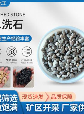 供应天然优质灰色水洗石水磨石五彩洗米石胶粘石园林造景盆栽铺面